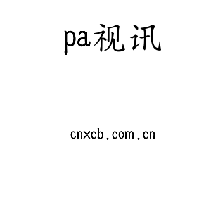 广东pa视讯智能科技股份有限公司